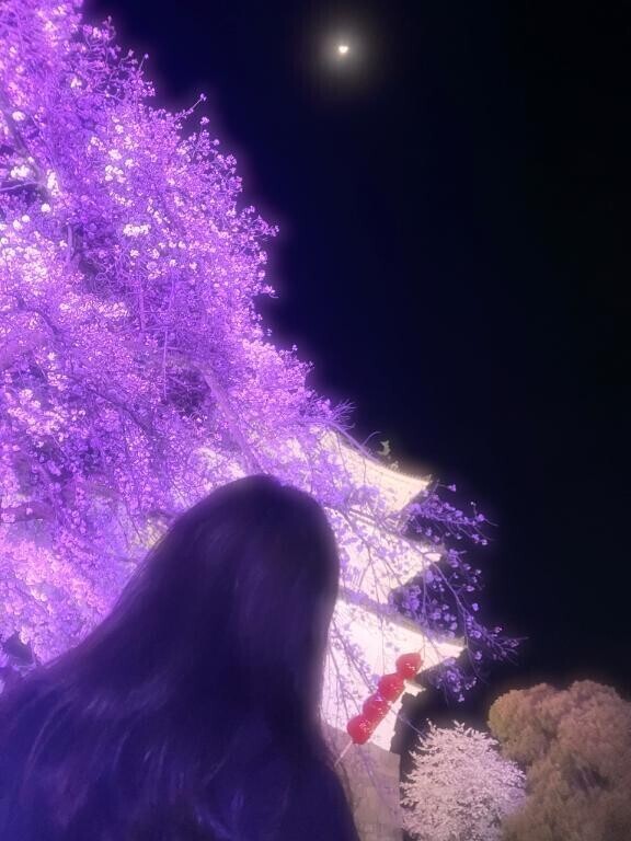 本指名様お昼寝コース+延長60分♥️夜桜お兄ちゃん♥️