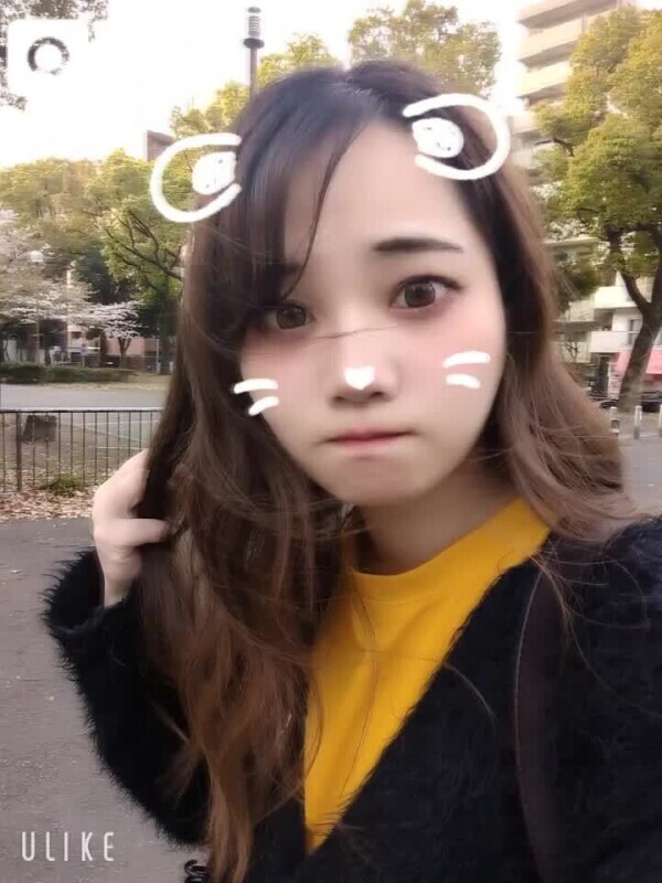 待機戻ってマース🐈