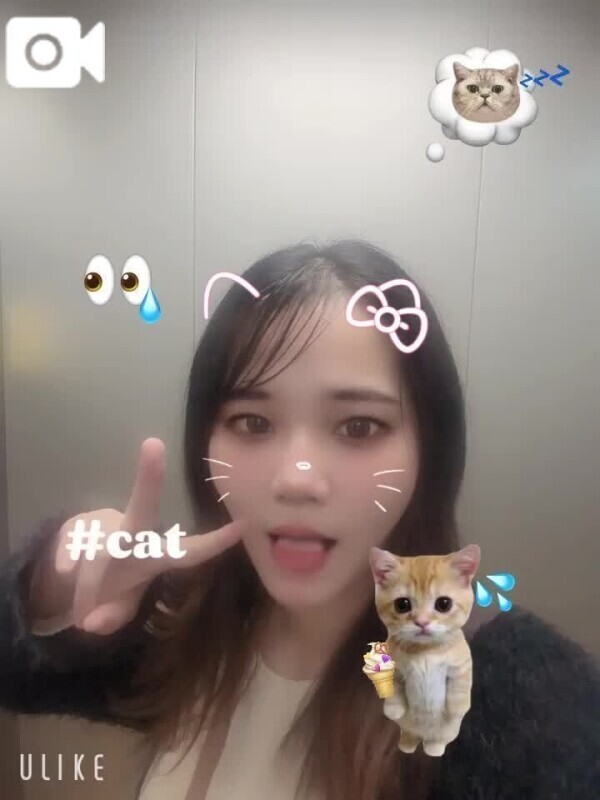 関内戻ってきてマース🐈