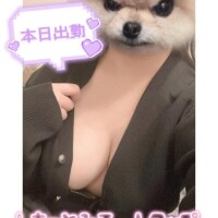 ひまわり