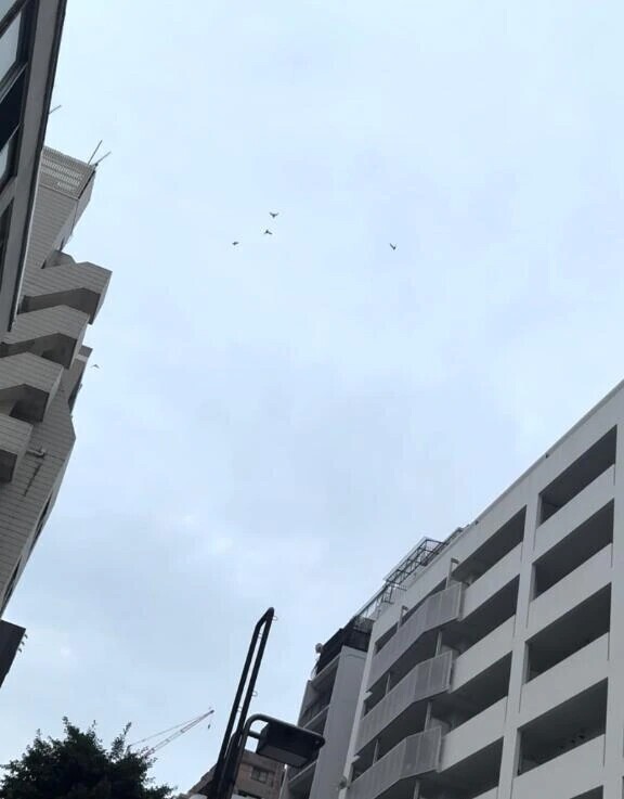 雨予報ですね ☔️