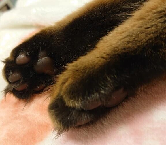 きょうも！！！