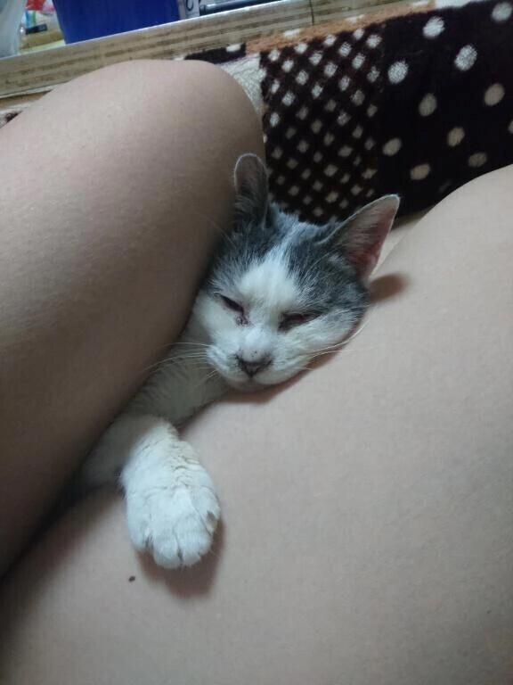 もう少しで、39day終わっちゃうよ💦