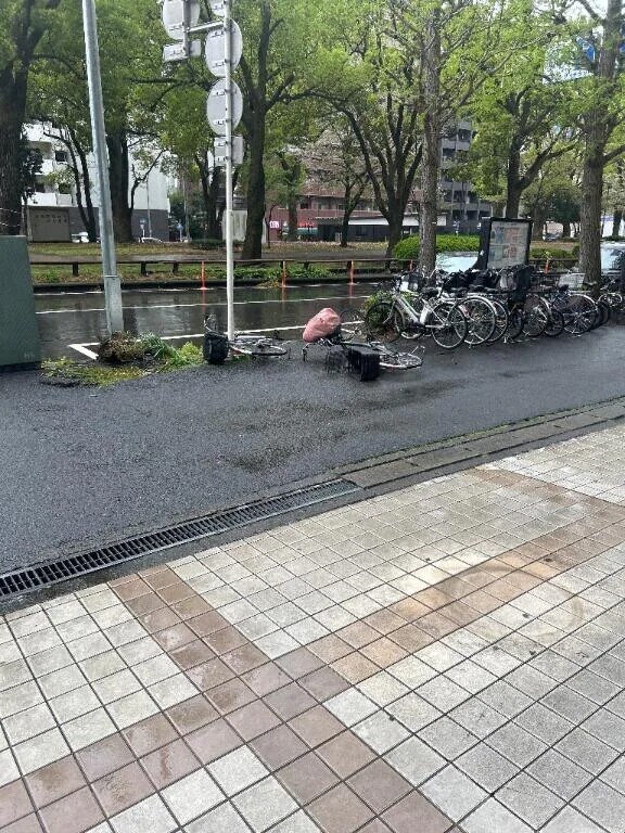 雨風が凄くて💦