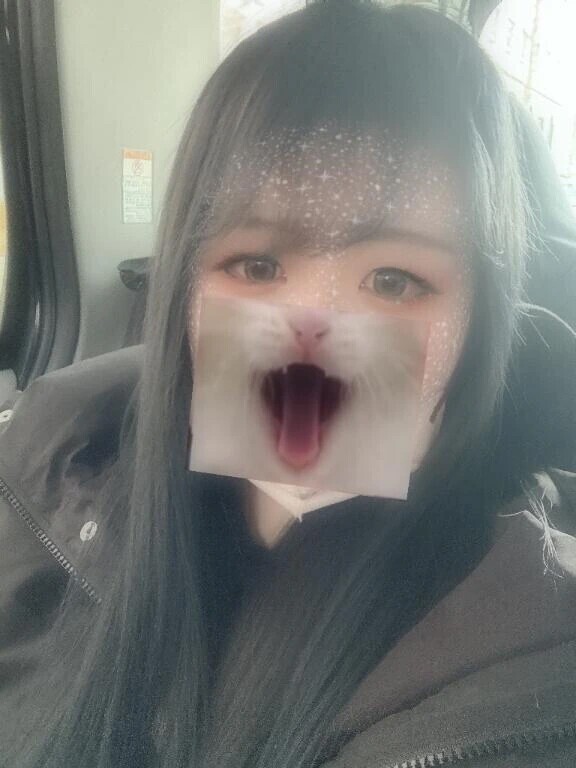 おはよーございやす