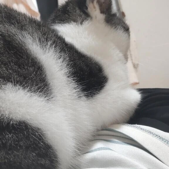 ごめんなさい(´・ω・｀)