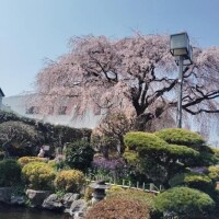 しるく