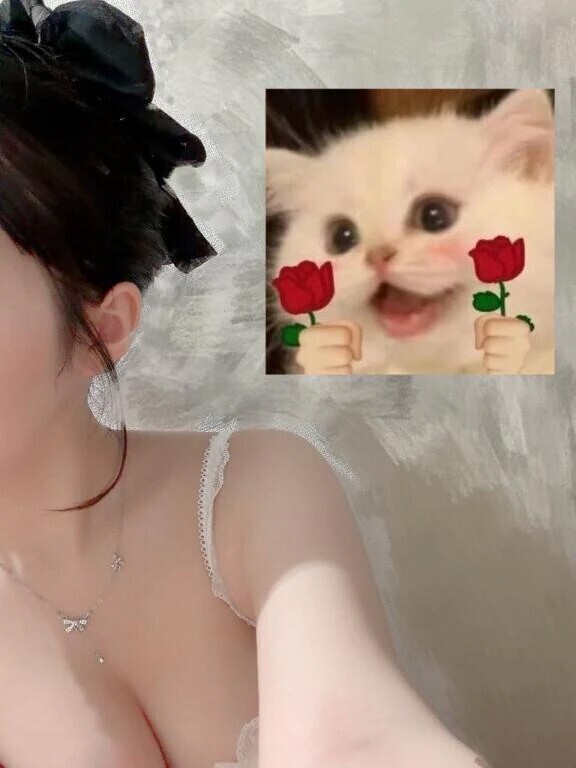 いるよ🐈‍⬛🎀