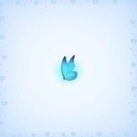 【新人】あげは