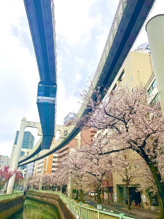 栄町の桜