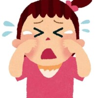 かりん