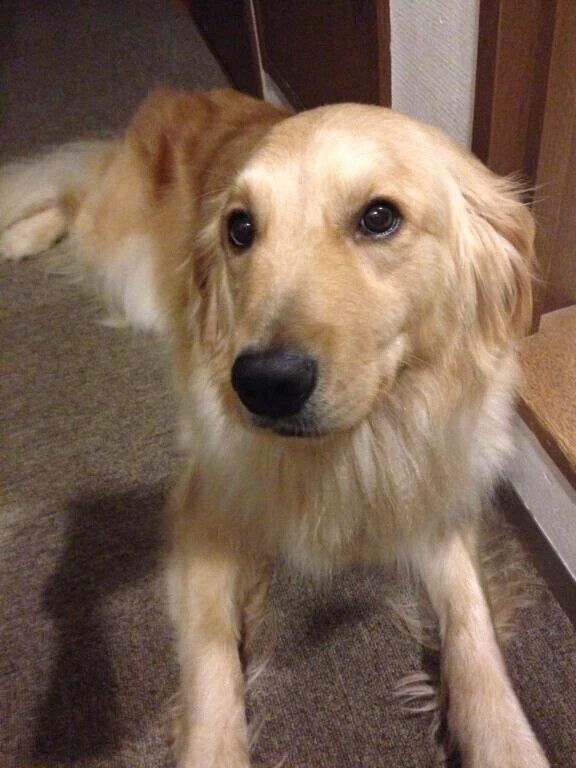 ほんの少しだけ