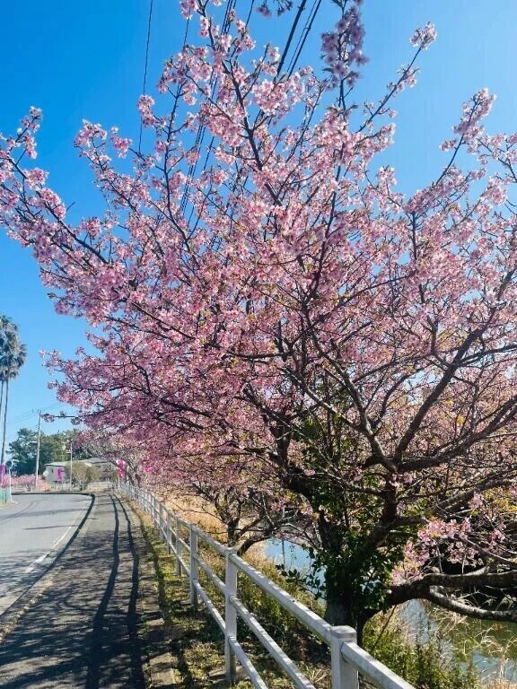 🐶もっといっぱいイキたいの🩶