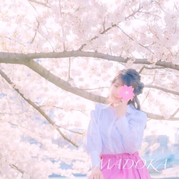 🎀 咲き誇れ