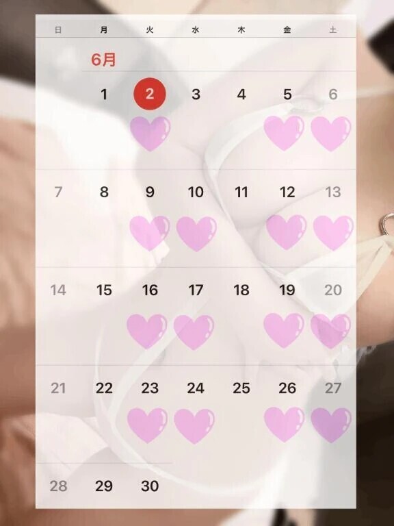 6月の予定🗓