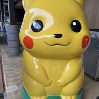 ぴっかぴー