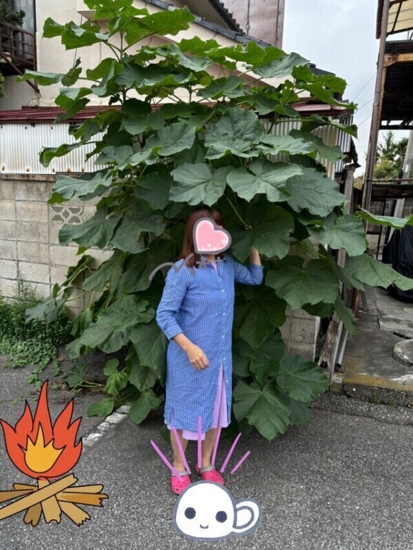 暑過ぎるからこんなに