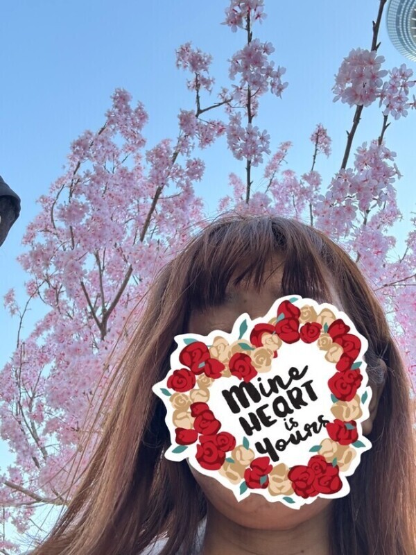 今年の桜