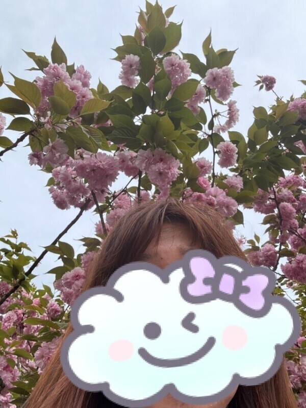 八重桜