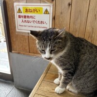 もう入ってますけど