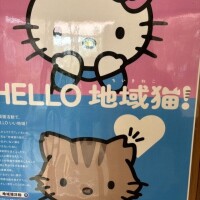 サンリオかな