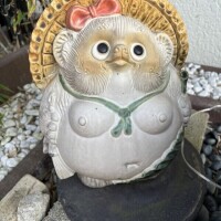 春枝