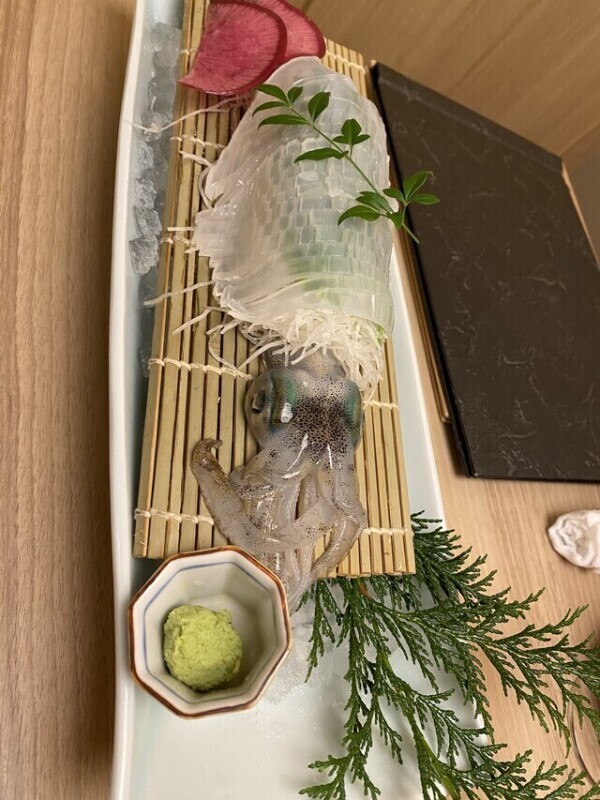 烏賊の御造り