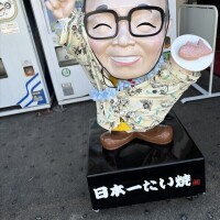 春枝