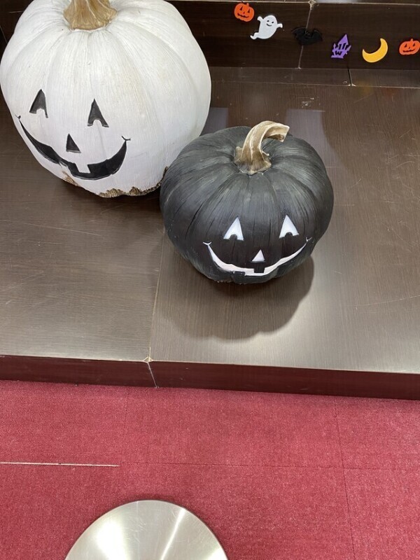 今年も来た