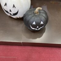 今年も来た