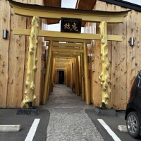 コレ実は