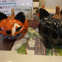 猫カボチャ
