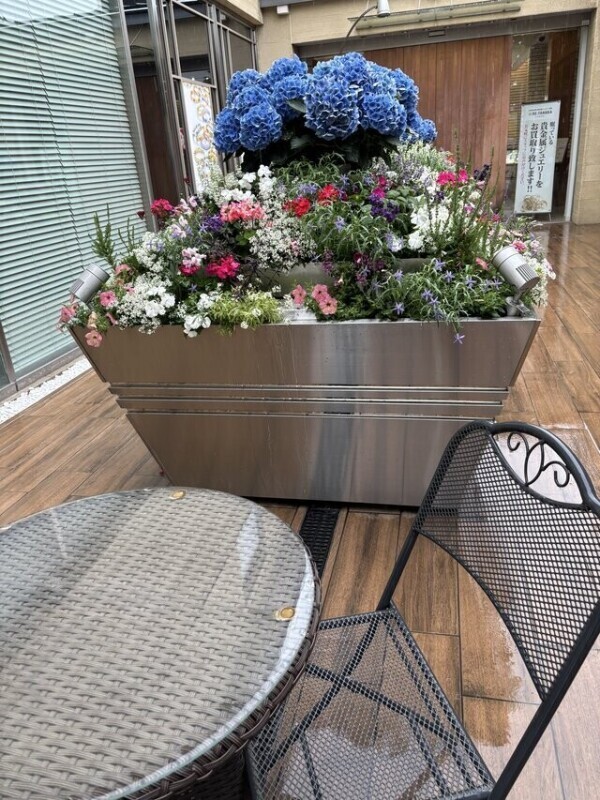 宝石店の花壇