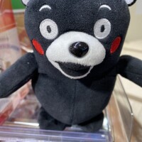 熊は居ないと聞いたけど