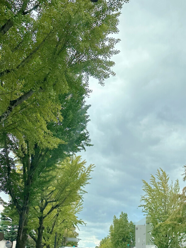 秋ですね(*^▽^*)