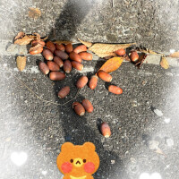 チョー久しぶり🤗