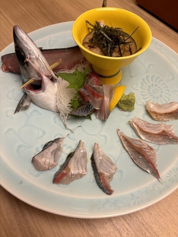 烏賊の入荷無し