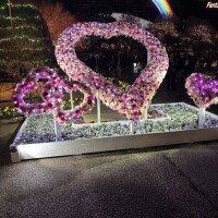 フラワーパーク