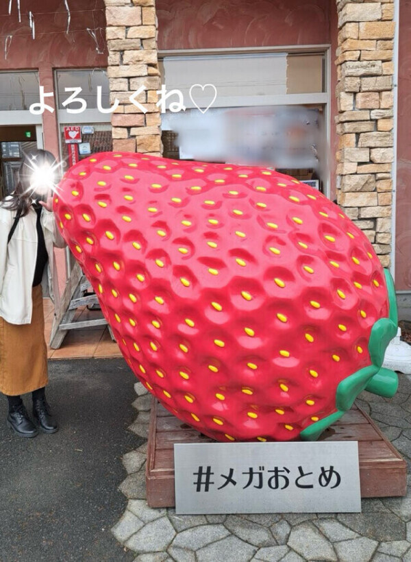 ありがとう❤️