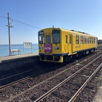 幸せの黄色い電車