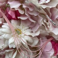 バレンタインの花壇