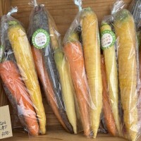 より取りみどり