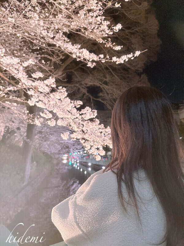 綺麗だったよ🌸