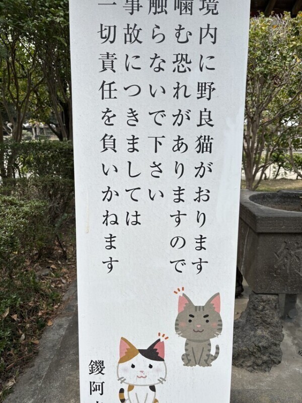 住職が猫好きだった件