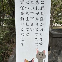 住職が猫好きだった件