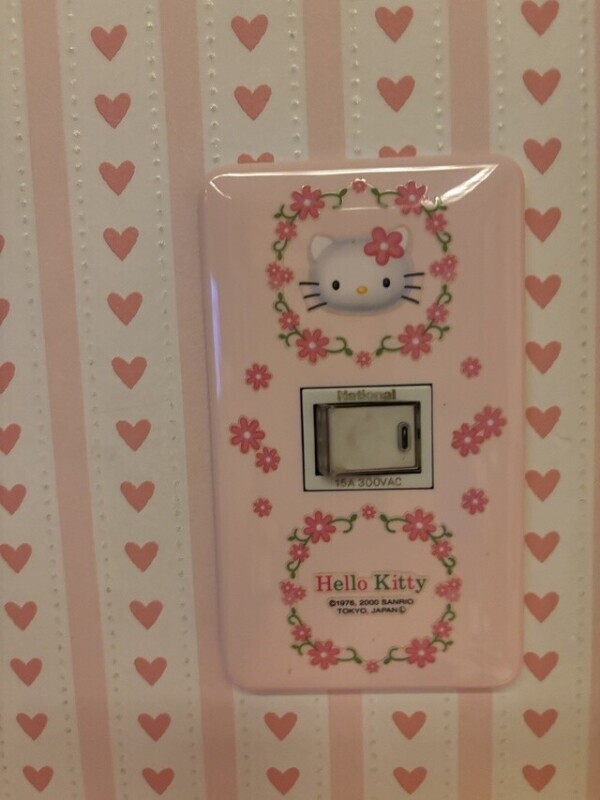 Switch cover
