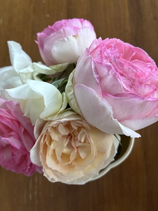 薔薇玉