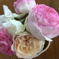 薔薇玉