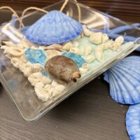おもしろ食材