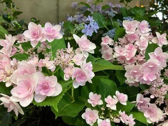 7月も宜しくお願いします💕